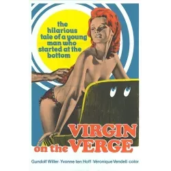 Virgin On The Verge (How To Play The Seduction Game?) one sheet movie poster - illustraction G
