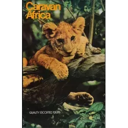 Caravan Africa vintage travel poster - Illustraction Gallery