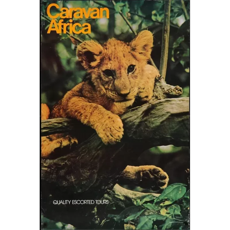 Caravan Africa vintage travel poster - Illustraction Gallery