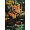 Caravan Africa vintage travel poster - Illustraction Gallery