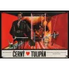 La tulipe noire Czech movie poster - illustraction Gallery