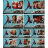 Spiderman (fotobusta set of 10)