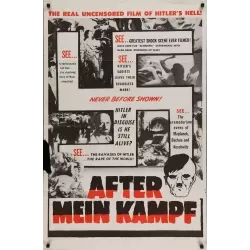 After Mein Kampf