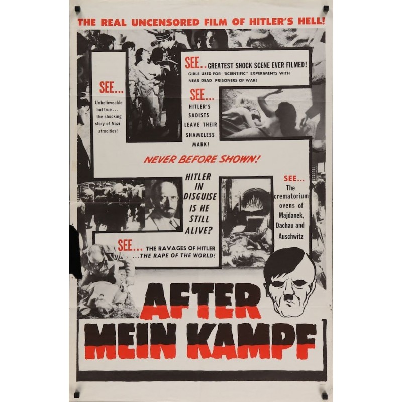 After Mein Kampf