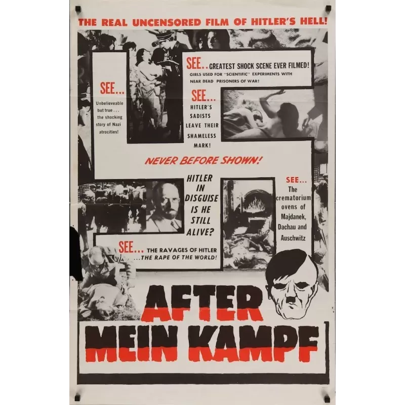 After Mein Kampf