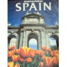 American Airlines Spain (1980)