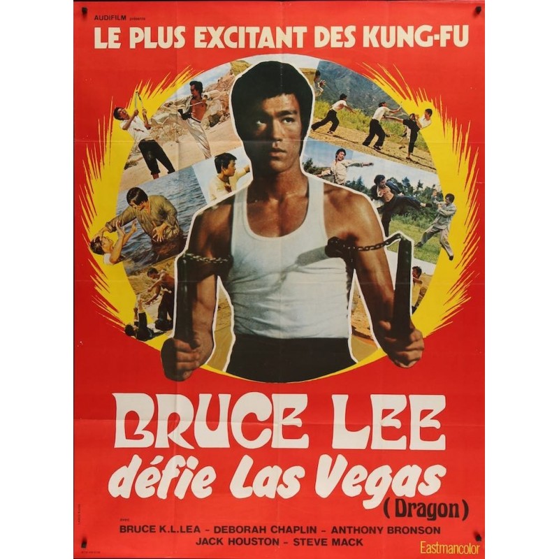 Bruce Lee Fights Back From The Grave (French)