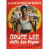 Bruce Lee Fights Back From The Grave (French)