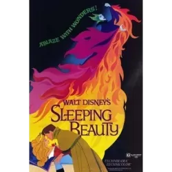Sleeping Beauty one sheet movie poster - Illustraction Gallery