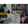 Young Frankenstein Italian fotobusta movie poster set - illustraction Gallery