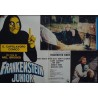 Young Frankenstein Italian fotobusta movie poster set - illustraction Gallery