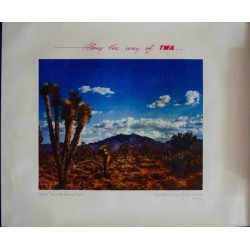 TWA Arizona Joshua tree (1950)