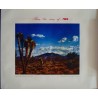 TWA Arizona Joshua tree (1950)