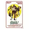 They Call Me Bruce one sheet movie poster - illustraction Gallery