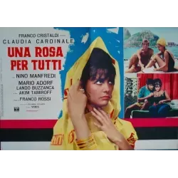 Rose For Everyone (fotobusta set of 8)