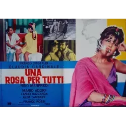 Rose For Everyone (fotobusta set of 8)