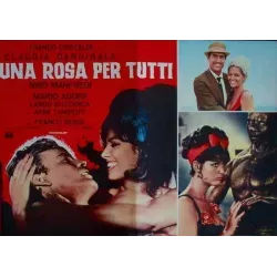 Rose For Everyone (fotobusta set of 8)