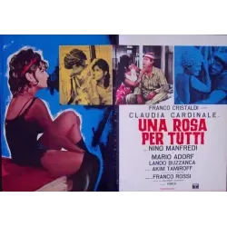 Rose For Everyone (fotobusta set of 8)