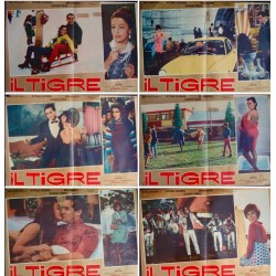 Tiger And The Pussycat (fotobusta set of 12)