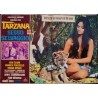 Tarzana The Wild Girl (fotobusta set of 8)