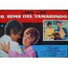 Tamarind Seed (fotobusta set of 4)