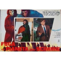 Planet Of The Apes: Escape From (fotobusta set of 8)