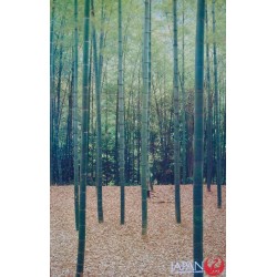 Japan Airlines Kyoto Bamboo Grove (1981)