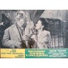 Un singe en hiver Italian fotobusta movie poster set - illustraction Gallery