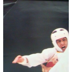 Barcelona 1992 Olympics Karate