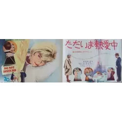 Do Not Disturb (Japanese B4)