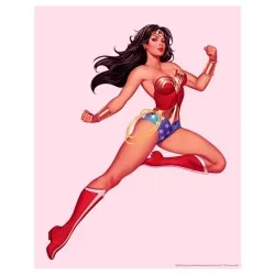 Wonder Woman (set of 4)