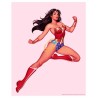 Wonder Woman (set of 4)