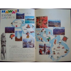 Paradise Hawaiian Style (Japanese program)