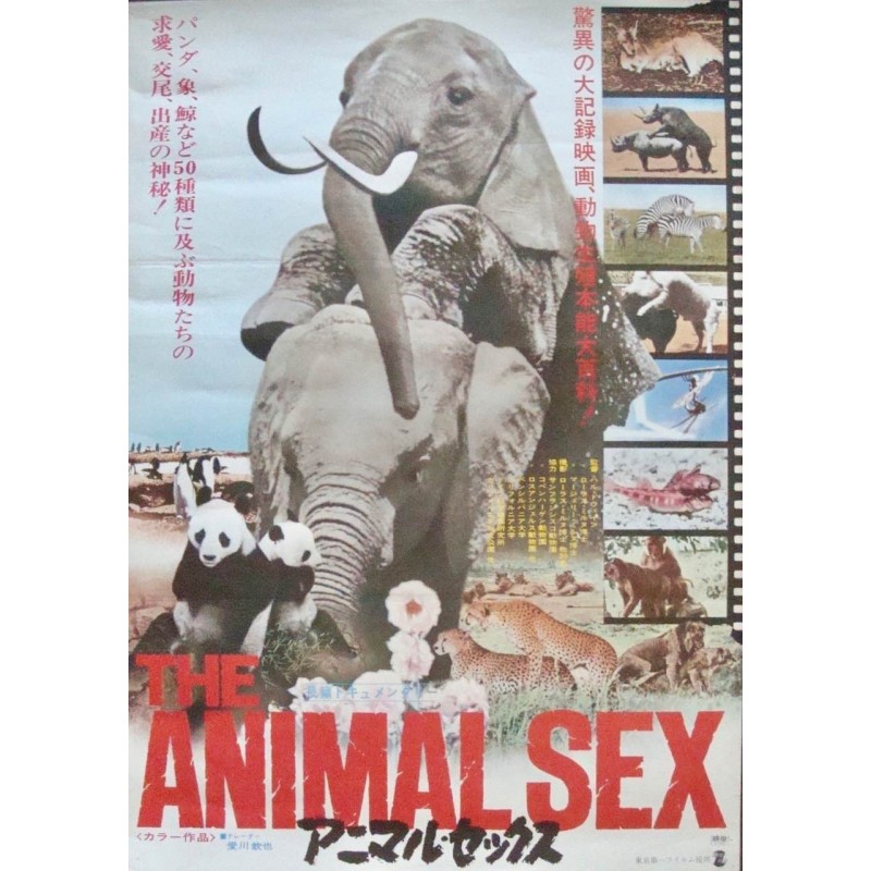 Sex japanese animal Big Brother