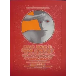 Ziggy Stardust And The Spiders From Mars (R09 variant)