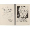 Superman 400 portfolio