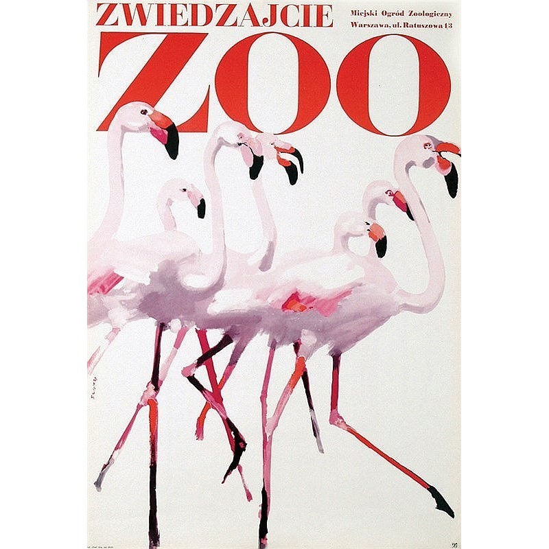 Zwiedzjacie Zoo Flamingos (1967)