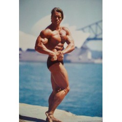 Arnold Schwarzenegger (Personality A)