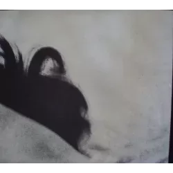 Mirror Of Venus: Ecstasy