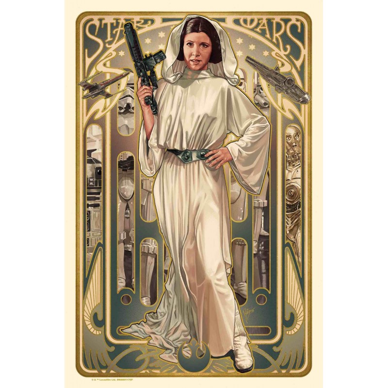 Star Wars: Princess Leia Organa (R2019 Variant)