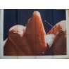 Wet Dreams (Italian 4F)