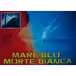 Blue Water White Death Italian fotobusta movie poster - Illustraction Gallery
