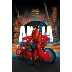 Akira (R2019 Metallic)