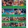 Green Slime (fotobusta set of 10)