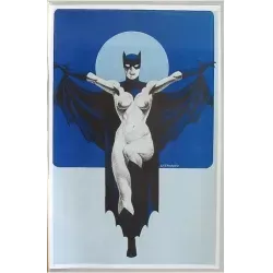 Supergirls Bat Babe print by Jim Steranko - illustraction Gallery