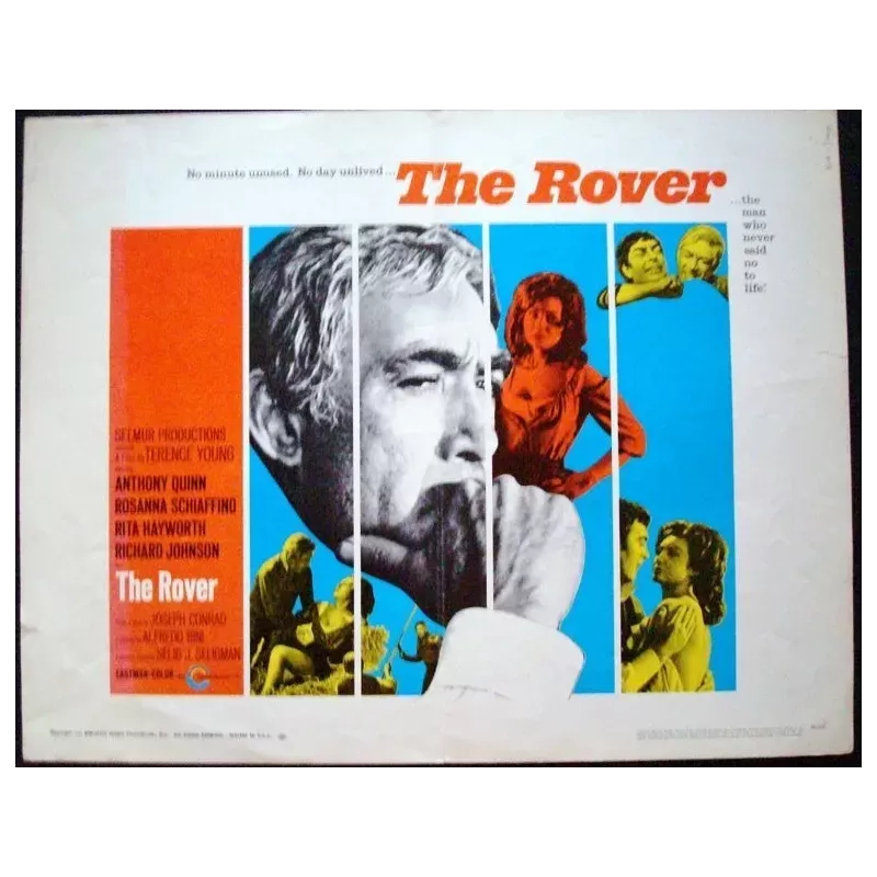 The Rover half sheet poster - Illustraction Gallery