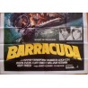 Barracuda (Italian 4F)