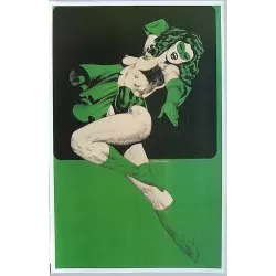 Supergirls Phantom Lady print by Jim Steranko - illustration Gallery
