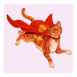 Supergirl and Supercat (set of 4)