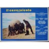 Caveman italian lobby card set - illustraction Gallery